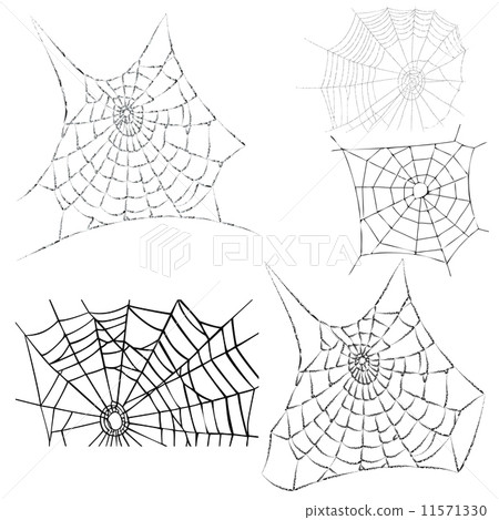 cobwebs 11571330