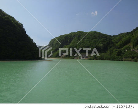 樹樹壩圖像(09) 樹樹壩圖像(09) 11571375