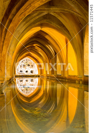 Alcazar of Seville 11571445