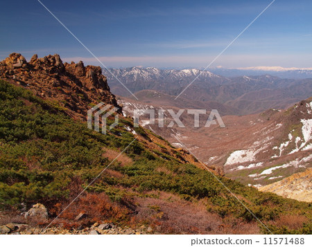Nasu of early summer 11571488