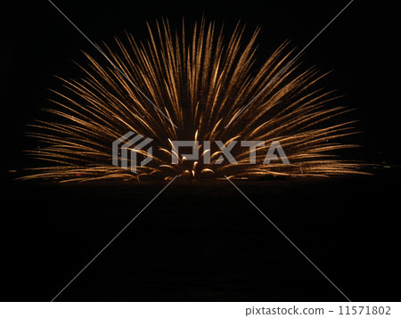 鎌倉煙花節 11571802