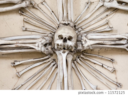 Sedlec Ossuary - Charnel house 11572125