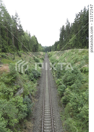 rails 11572547