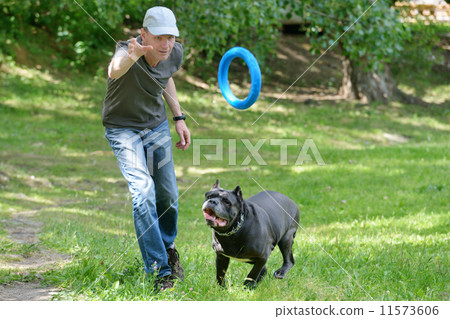 Man playing with his dog Man playing with his dog 11573606