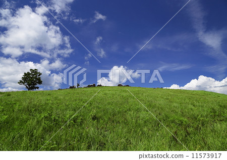 hill 11573917