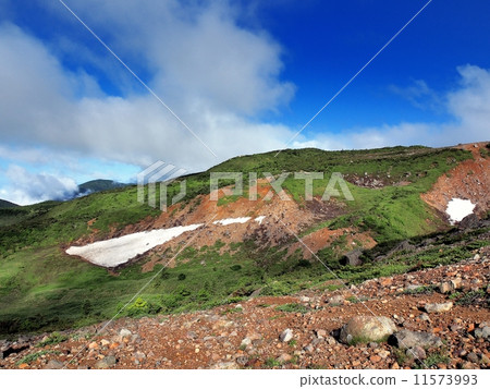 From the mountain trail of Mt. 11573993