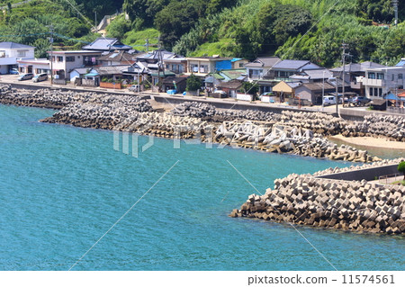 與四足動物的沿海風景 與四足動物的沿海風景 11574561