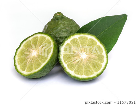 Kaffir lime. 11575051