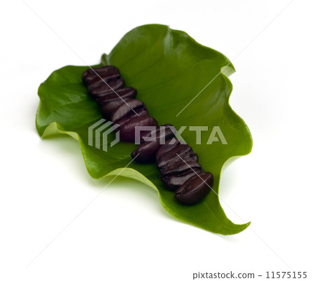 coffee beans with leaf . coffee beans with leaf . 11575155