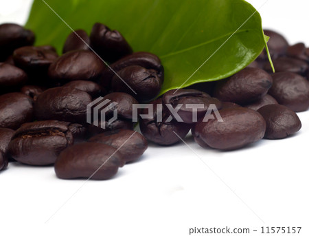coffee beans with leaf . 11575157