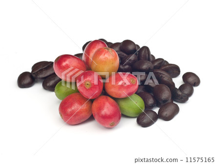 coffee beans . coffee beans . 11575165
