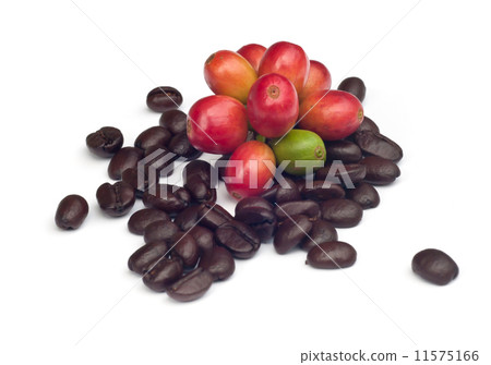 coffee beans . coffee beans . 11575166