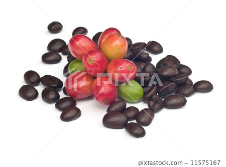 coffee beans . coffee beans . 11575167
