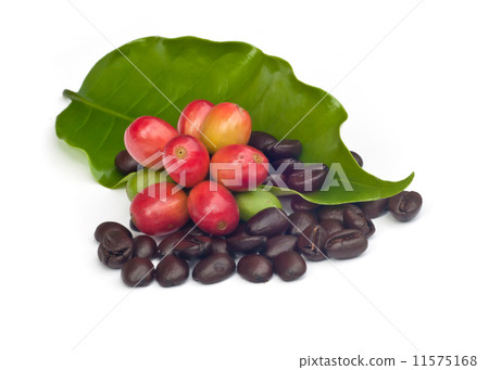 coffee beans . coffee beans . 11575168