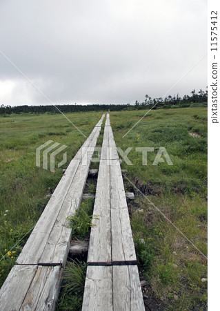 A promenade 11575412