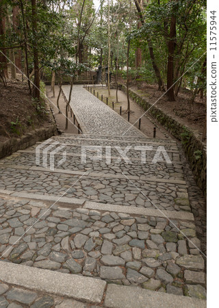 佛教牧師臨近 11575944