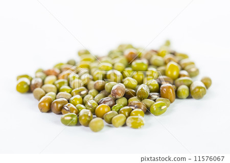 Mung beans  isolated 11576067