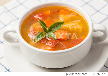 Vegetable soup 11576144