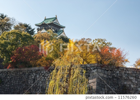 Osaka Castle castle tower 11576260