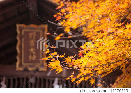 野宮神社正殿 11576265
