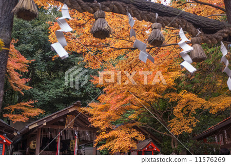 Nomiya shrine main hall 11576269