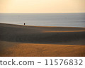 Tottori sand dunes evening scenery 11576832