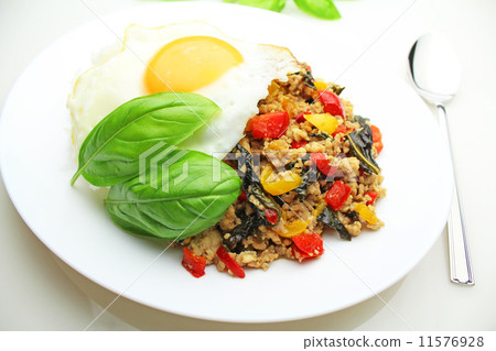 Basil plenty Gapa raise Basil plenty Gapa raise 11576928