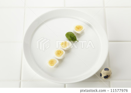 Boiled boiled eggs 11577976