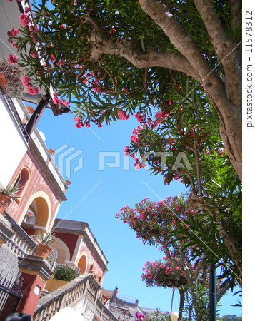 意大利卡普里島城市景觀 意大利卡普里島城市景觀 11578312
