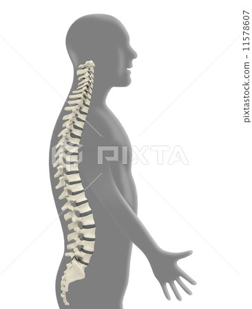 Backbone Backbone 11578607