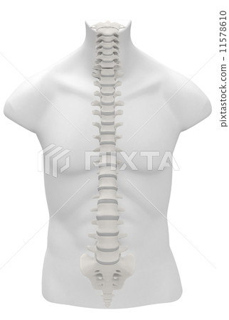 Backbone Backbone 11578610