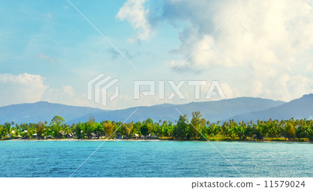 Sunny Day On Samui Sunny Day On Samui 11579024