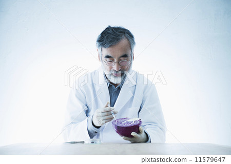 Senior · Hobby Life / scholar 11579647