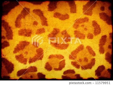 Texture of paper with animal skin pattern 11579951