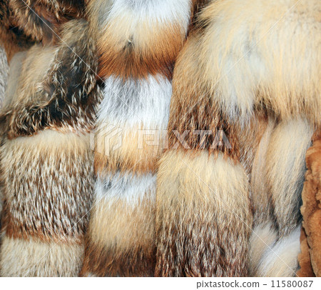 Row of fur coats of different colors Row of fur coats of different colors 11580087