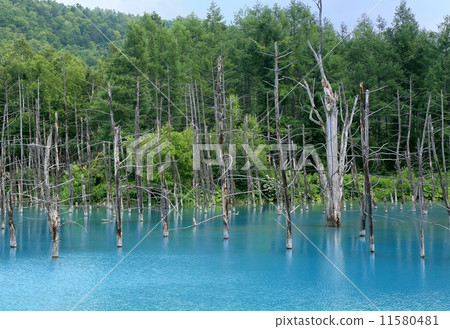 Blue pond Blue pond 11580481