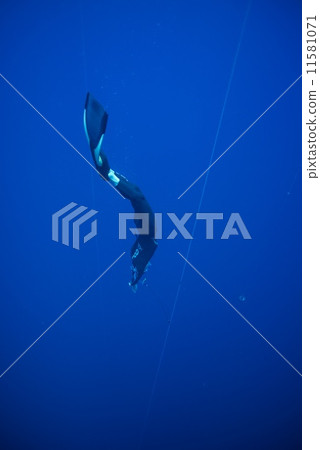 Free diving Free diving 11581071