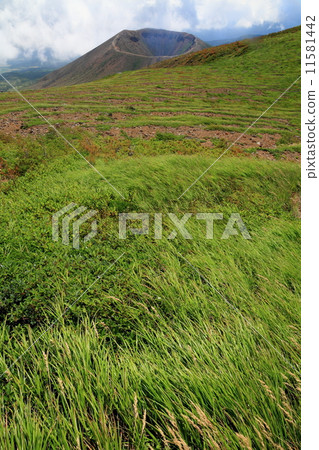 Azuma mountain peak · grassland of any mountains and Azuma Fuji Azuma mountain peak · grassland of any mountains and Azuma Fuji 11581442