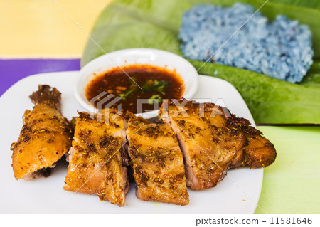 Grilled chicken coriander 11581646