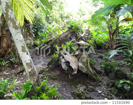 Remains of Zero warfare of Palau Periwieu Island Remains of Zero warfare of Palau Periwieu Island 11581690