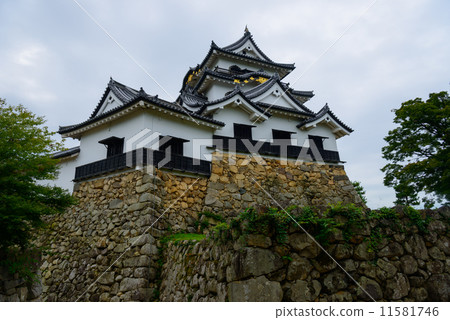 National treasure Hikone castle tower National treasure Hikone castle tower 11581746