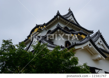 National treasure Hikone castle tower National treasure Hikone castle tower 11581747