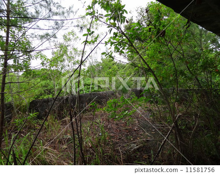 帕勞佩利島日軍總部遺址 帕勞佩利島日軍總部遺址 11581756