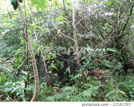 帕勞佩利島日軍總部遺址 11581763