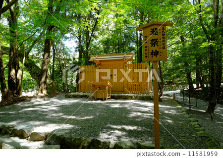 Taki festival 11581959