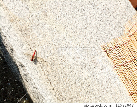 End of summer (red dragonfly and reed) 1 (There is one with no stain. No. 11676423) End of summer (red dragonfly and reed) 1 (There is one with no stain. No. 11676423) 11582048