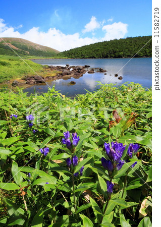 Azuma的山·Kamonuma和Gentoo Azuma的山·Kamonuma和Gentoo 11582719