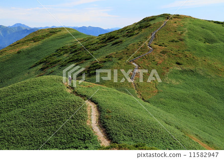 Mountain path between Joetsu border · Hirakata-senorakurayama and Sennokurayama 11582947