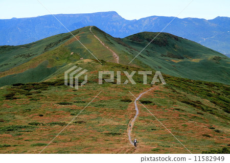 在上越邊境附近爬山·Hiratsuyama，觀看背後的Mt. Naeba山 11582949