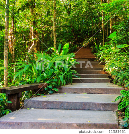 Landscaping in the garden 11583661